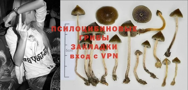 молекула духа Алексин