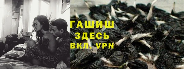 молекула духа Алексин
