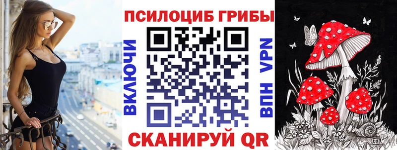 цены kraken как зайти Галлюциногенные грибы Psilocybe Салават